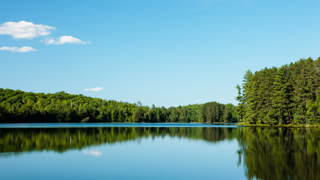 Les miroirs muraux Reine Mère : design, praticité et savoir-faire local