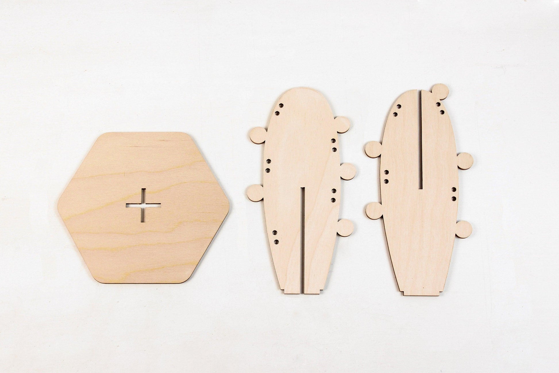 Cactus - Reine Mère