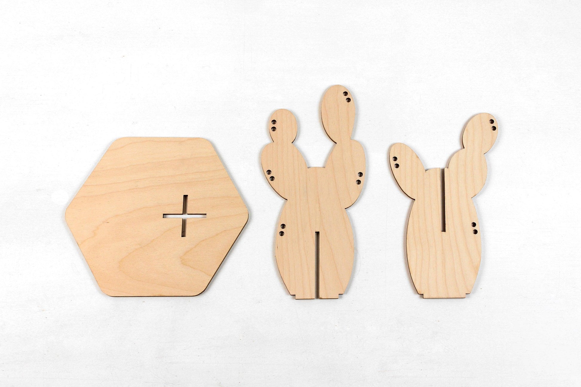 Cactus - Reine Mère