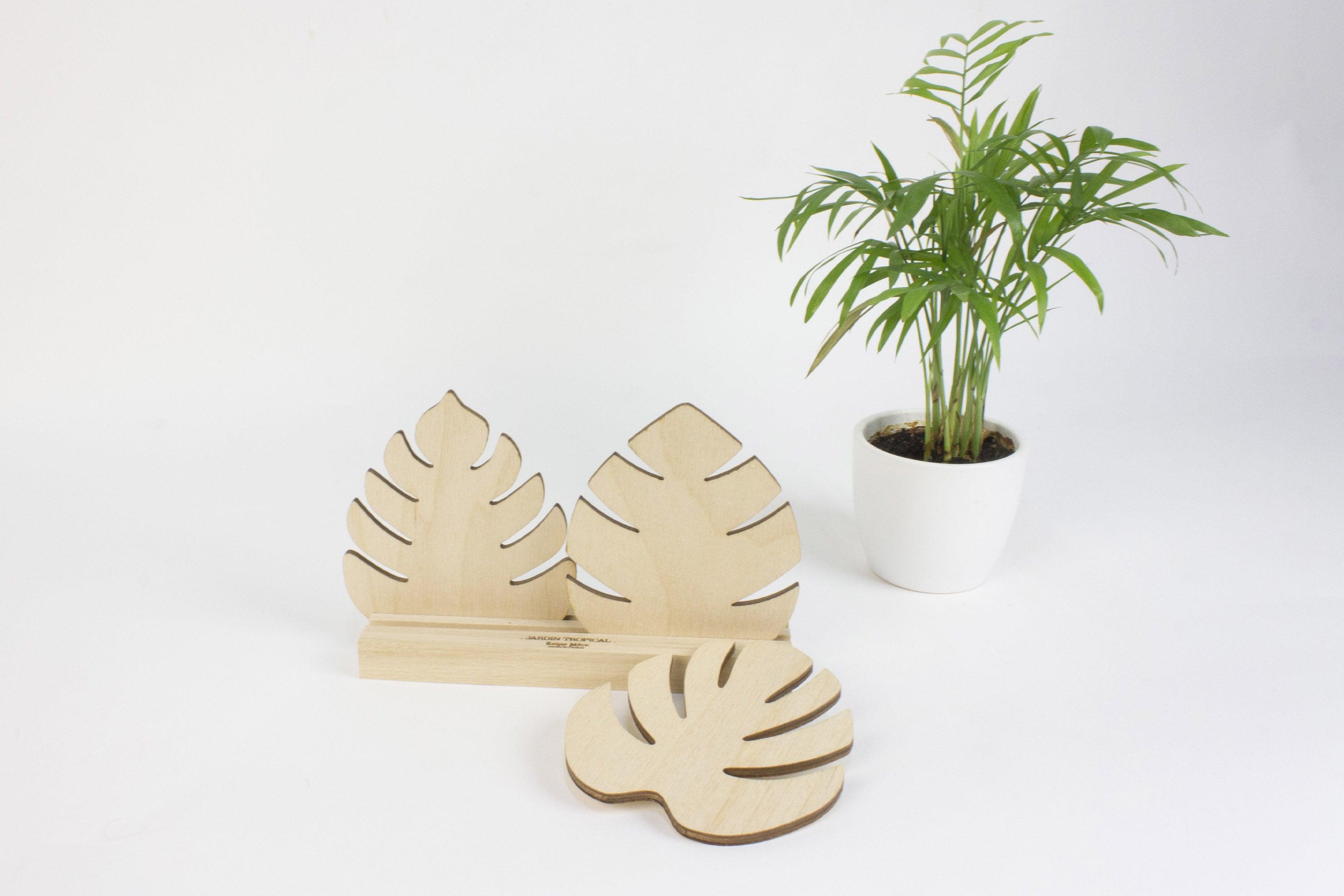 Tropiques - Reine Mère