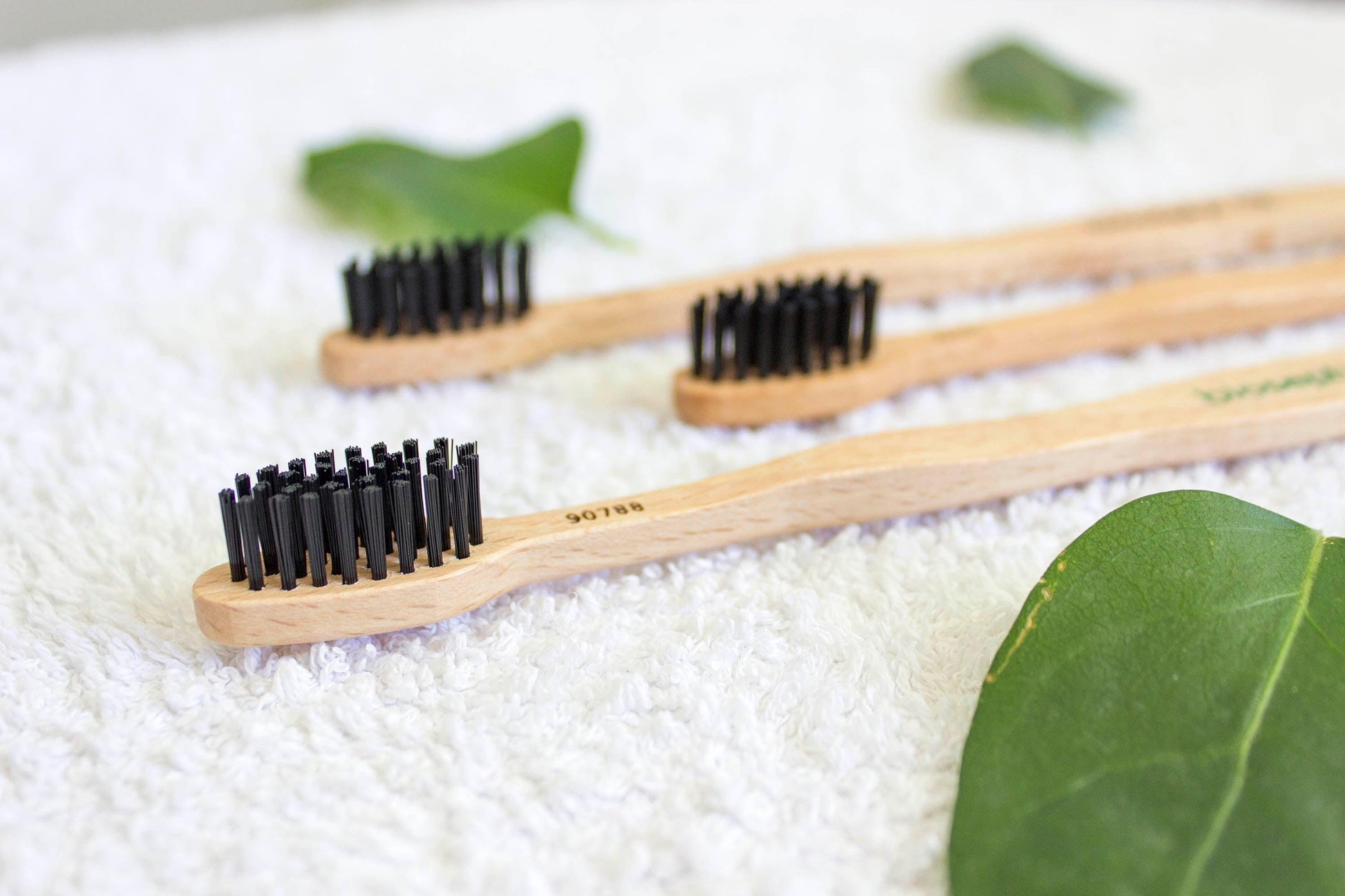 Brosse à dent adulte Bioseptyl - Reine Mère