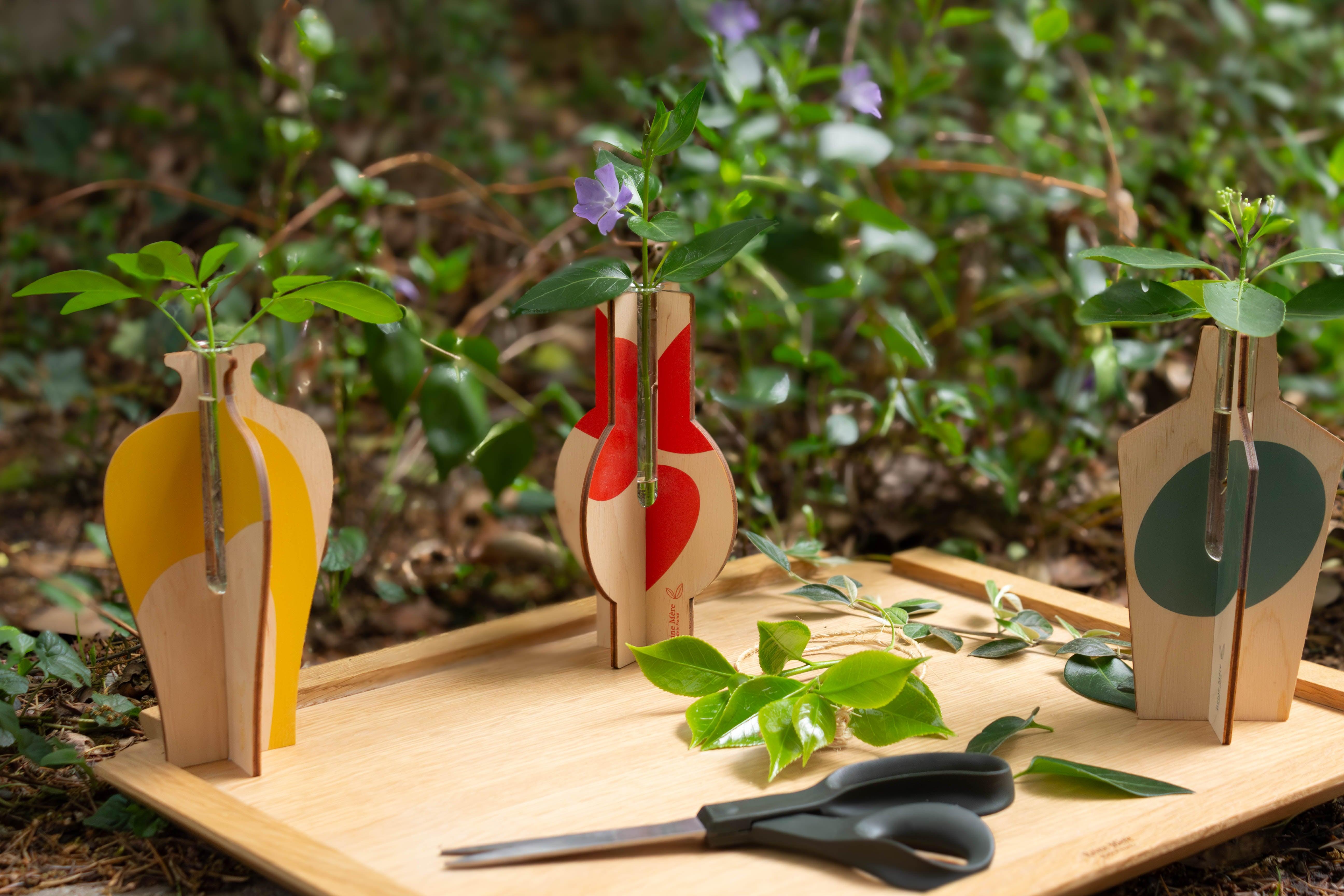 Anamorphoses - Vases