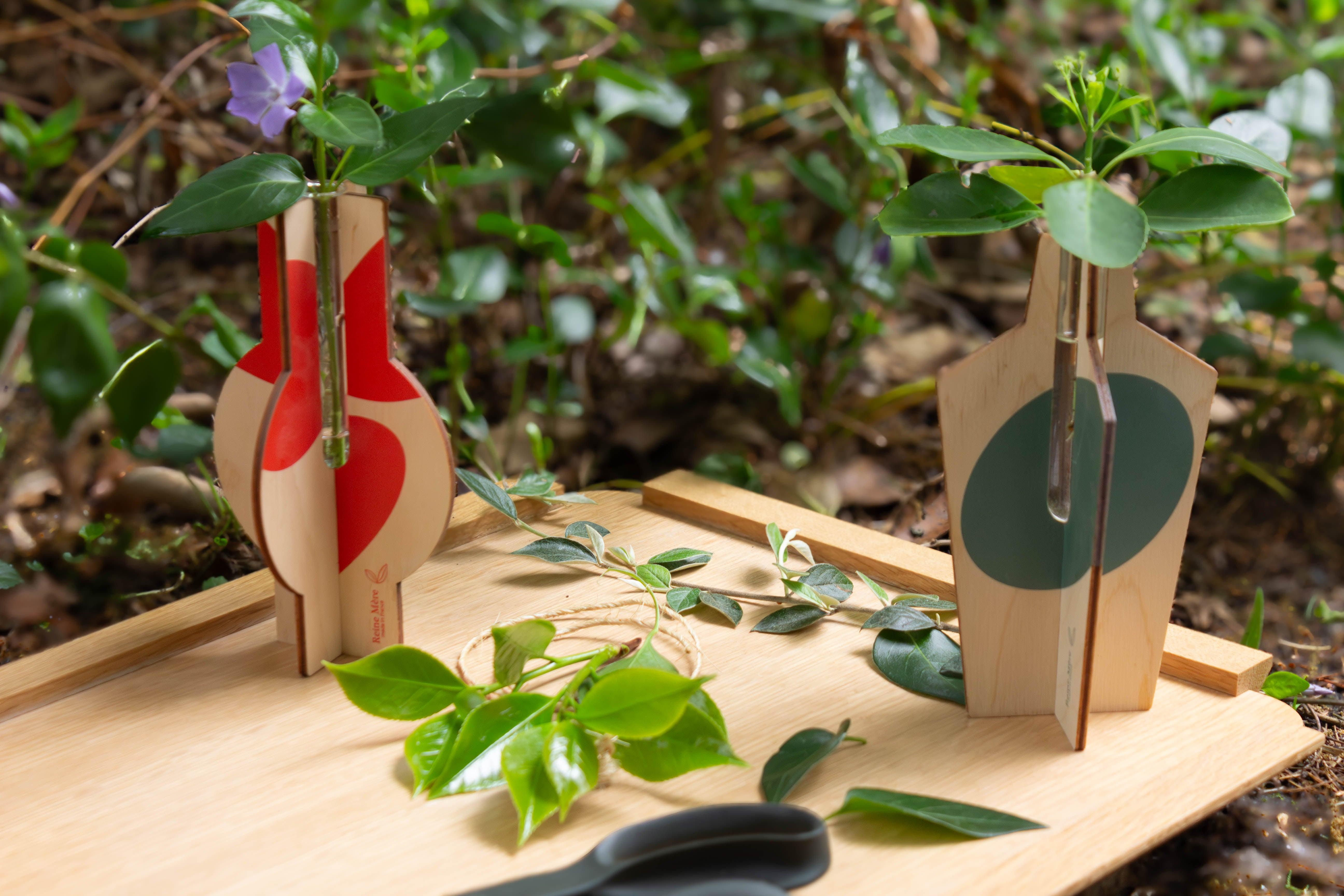 Anamorphoses - Vases