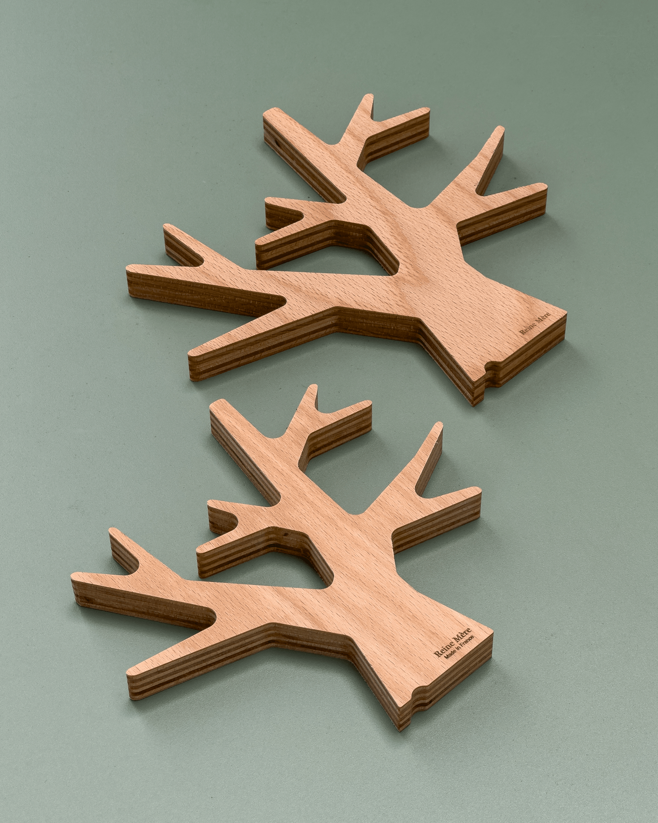 Dessous de plat forme arbre