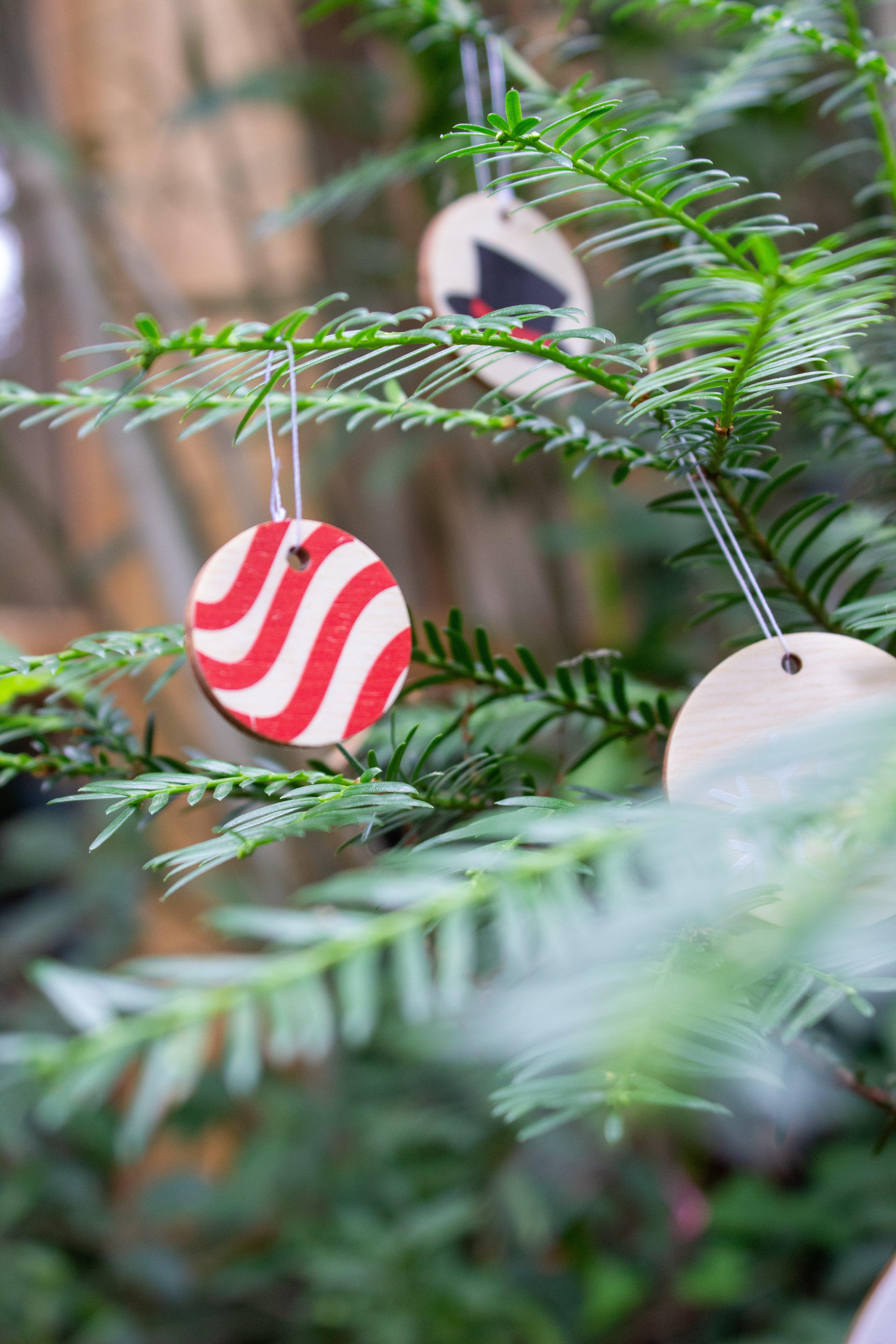 Vive le Vent - Reine Mère