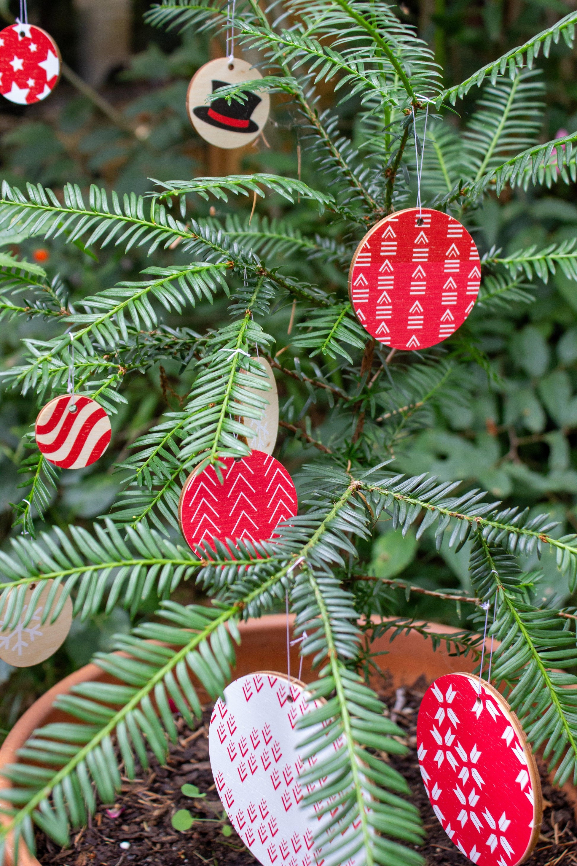 Vive le Vent - Reine Mère