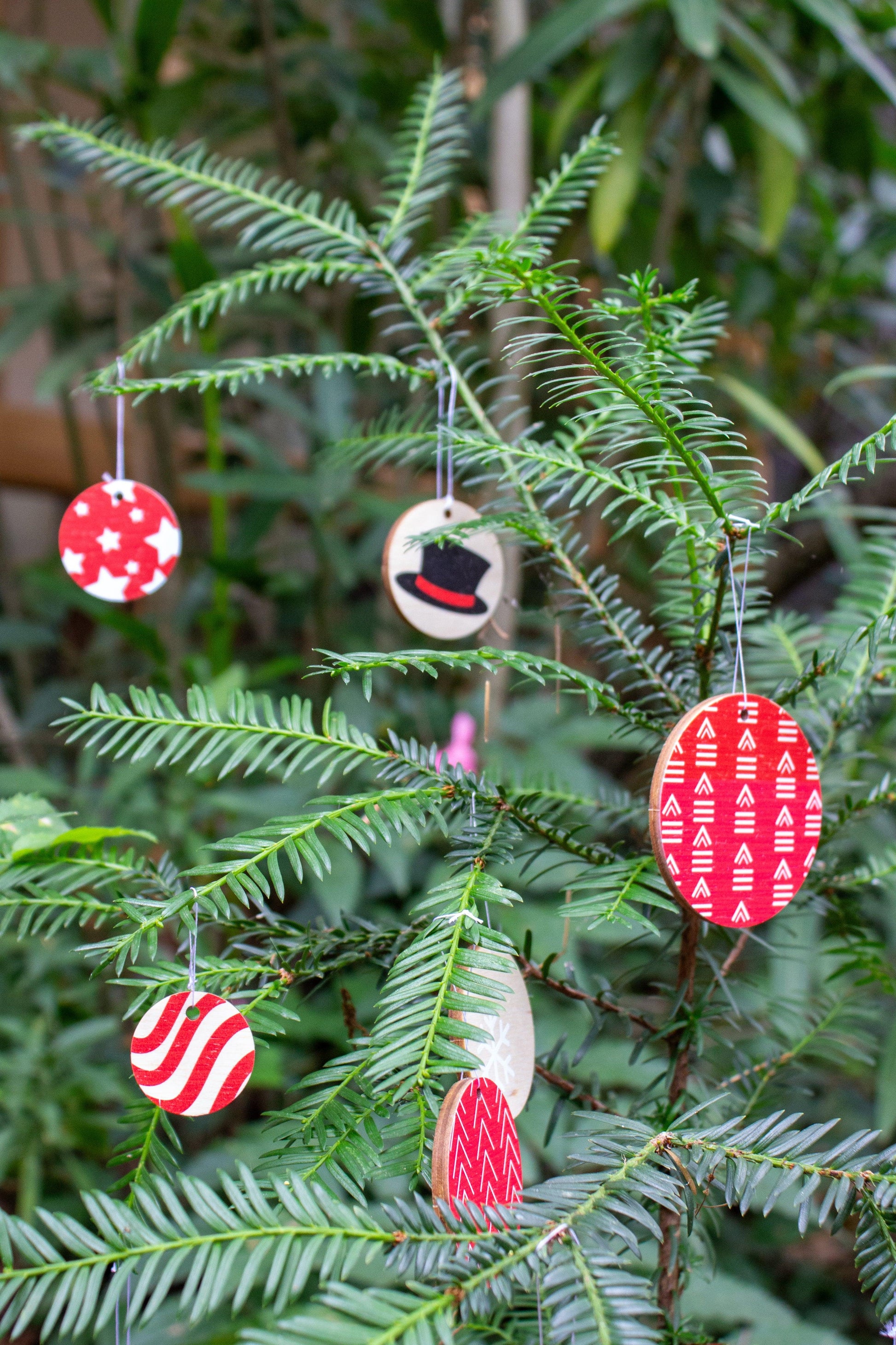 Vive le Vent - Reine Mère