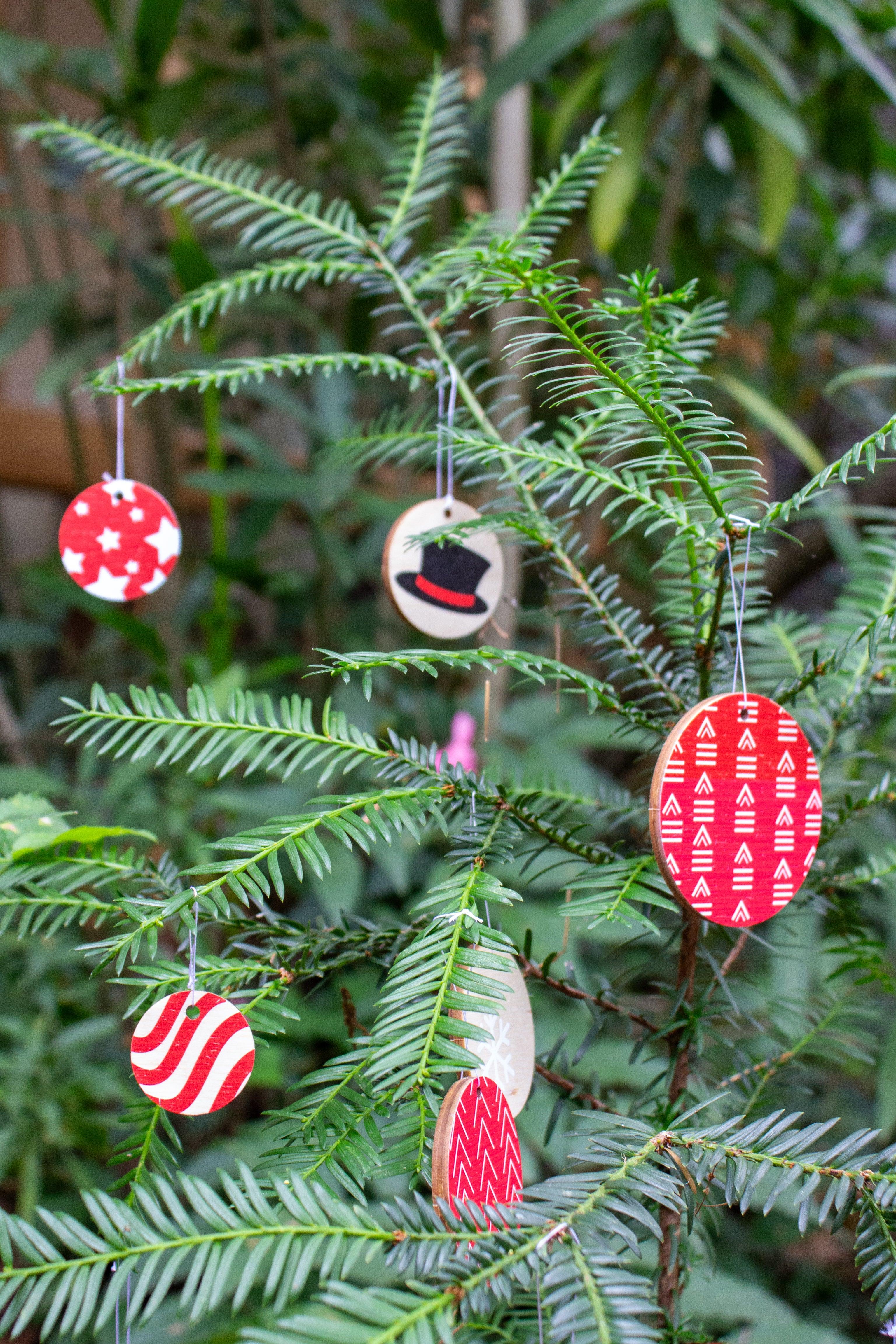 Vive le Vent - Reine Mère