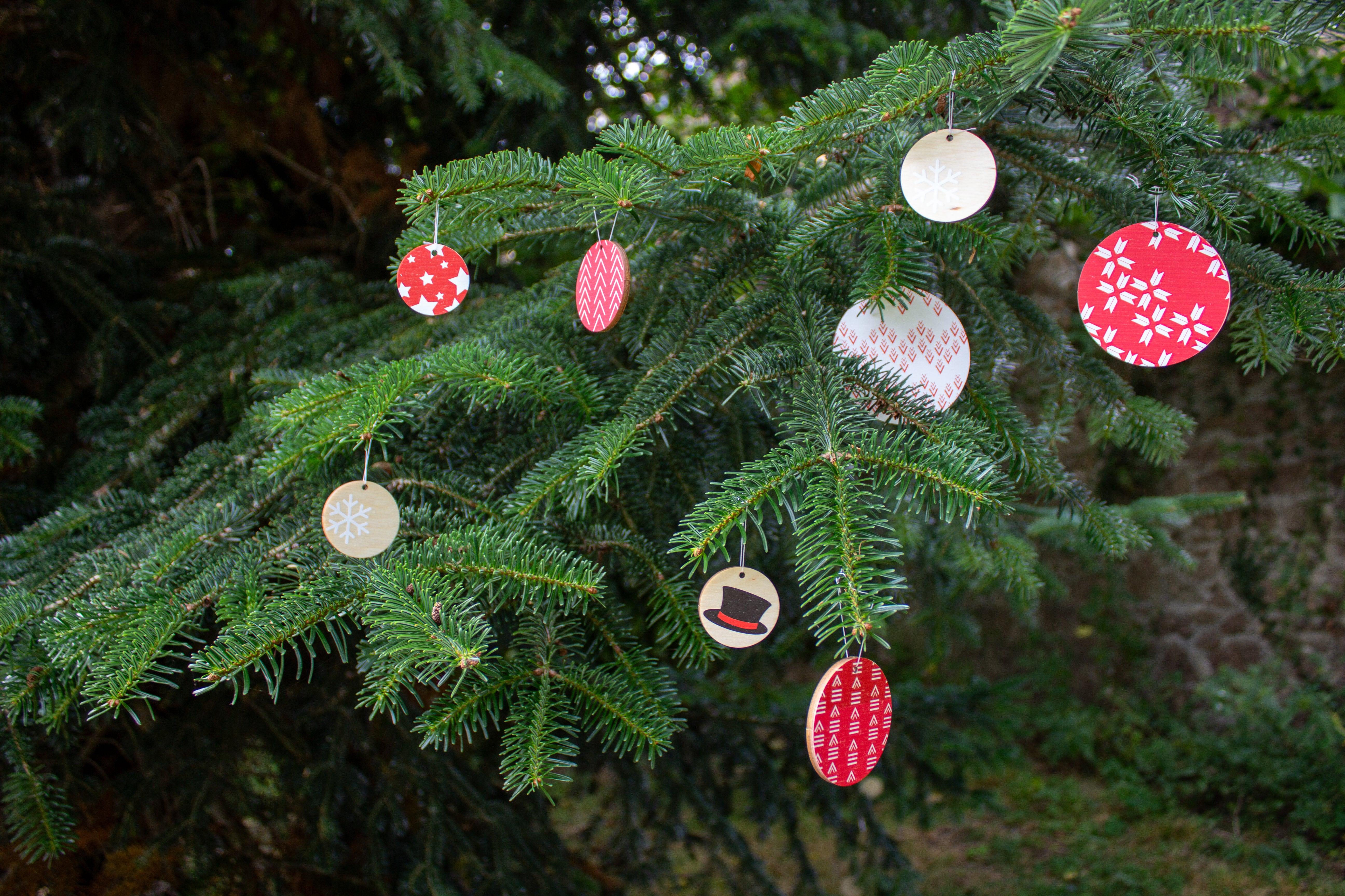 Vive le Vent - Reine Mère