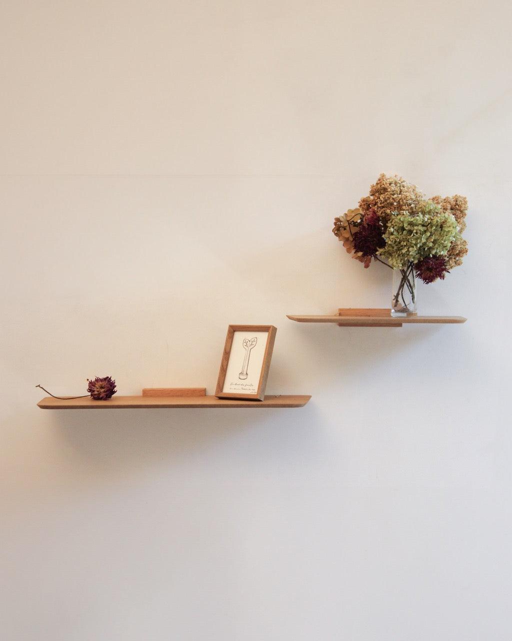 Aileron - Reine Mère