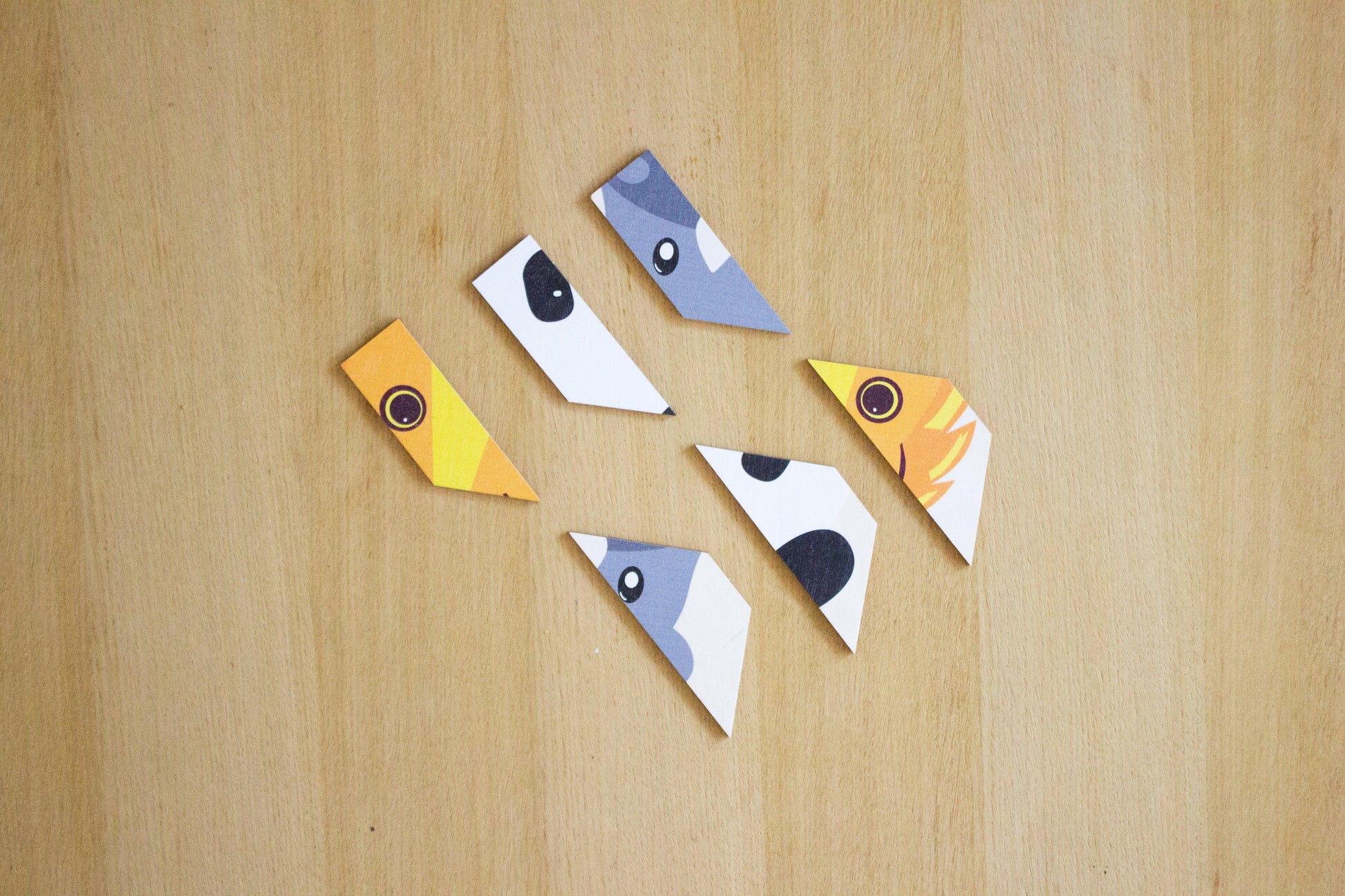 Tangram - 14 pièces - Reine Mère