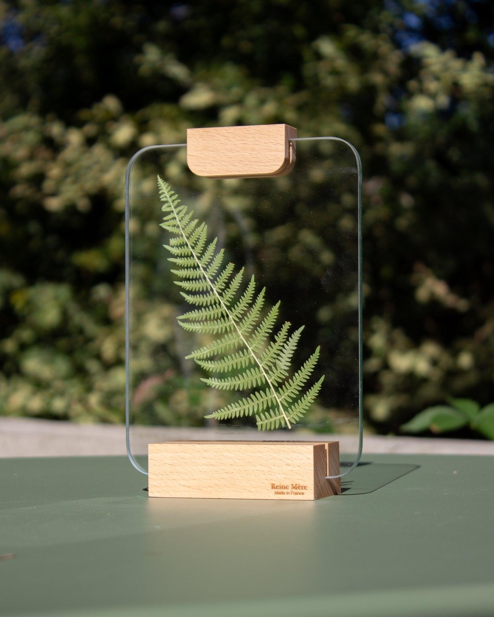 Verrière - Reine Mère