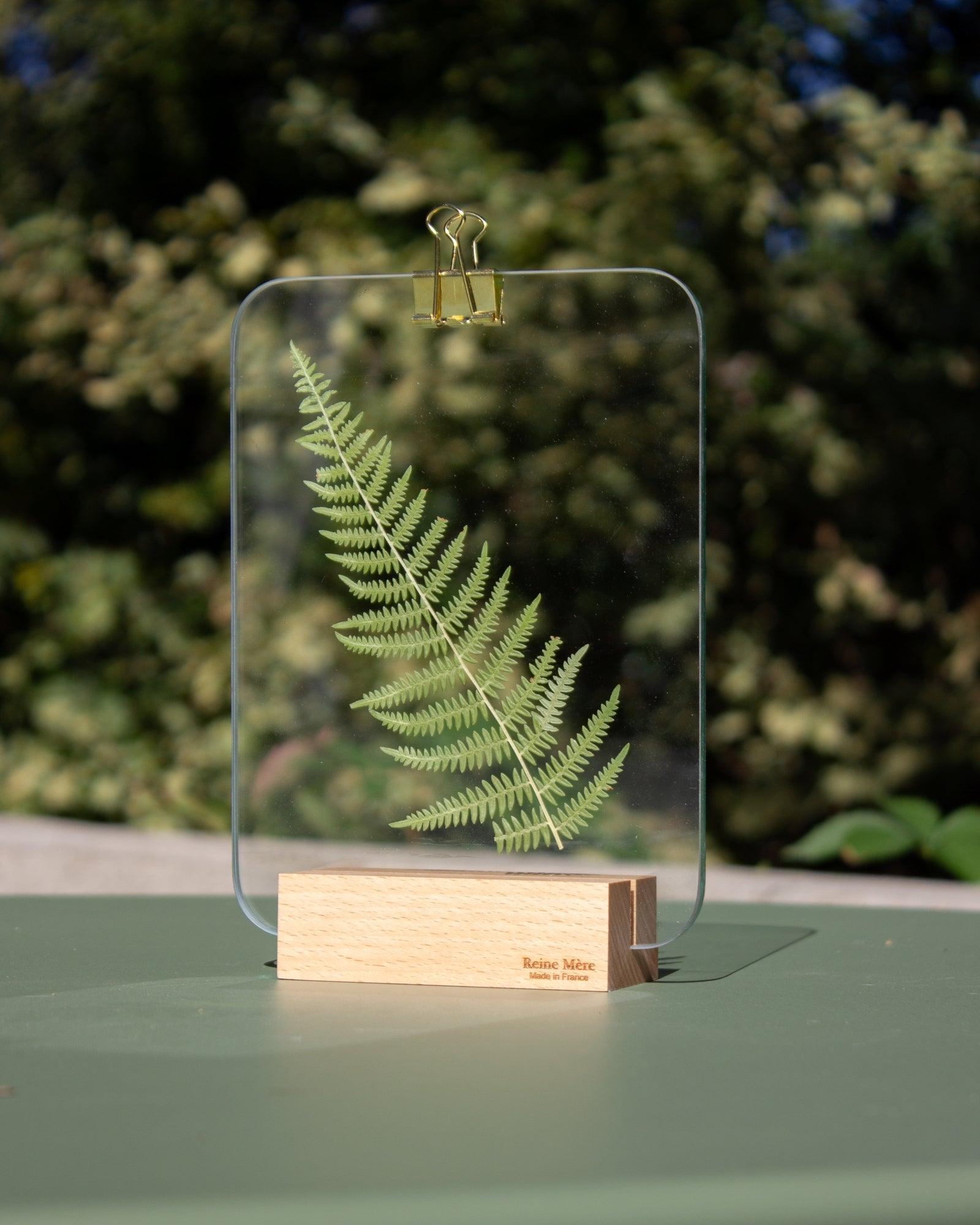 Verrière - Reine Mère