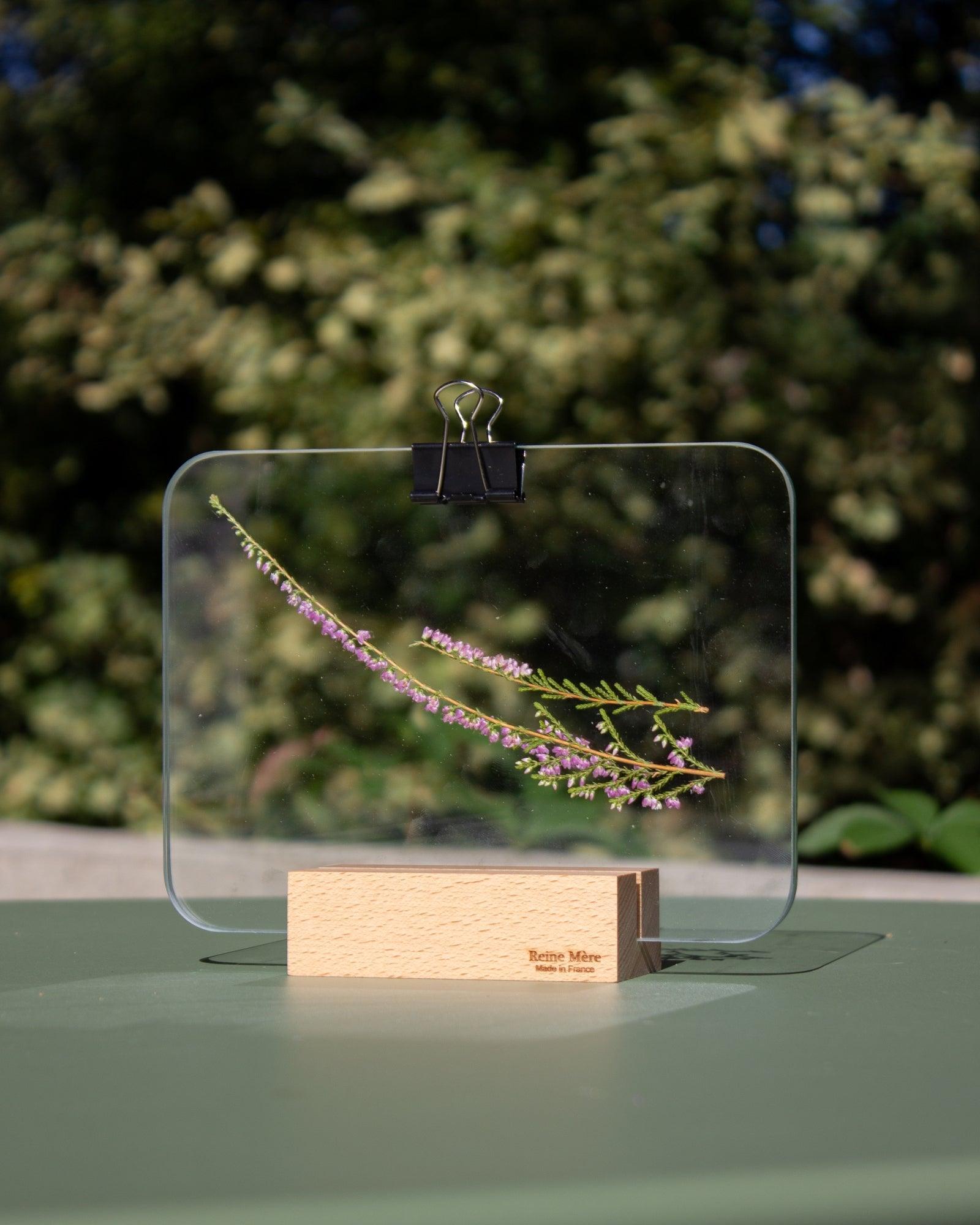 Verrière - Reine Mère