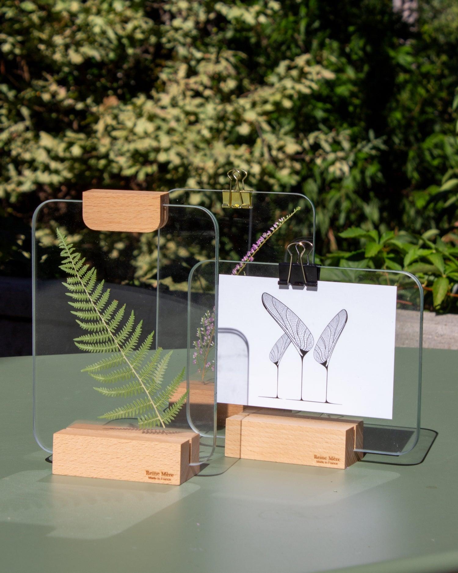 Verrière - Reine Mère