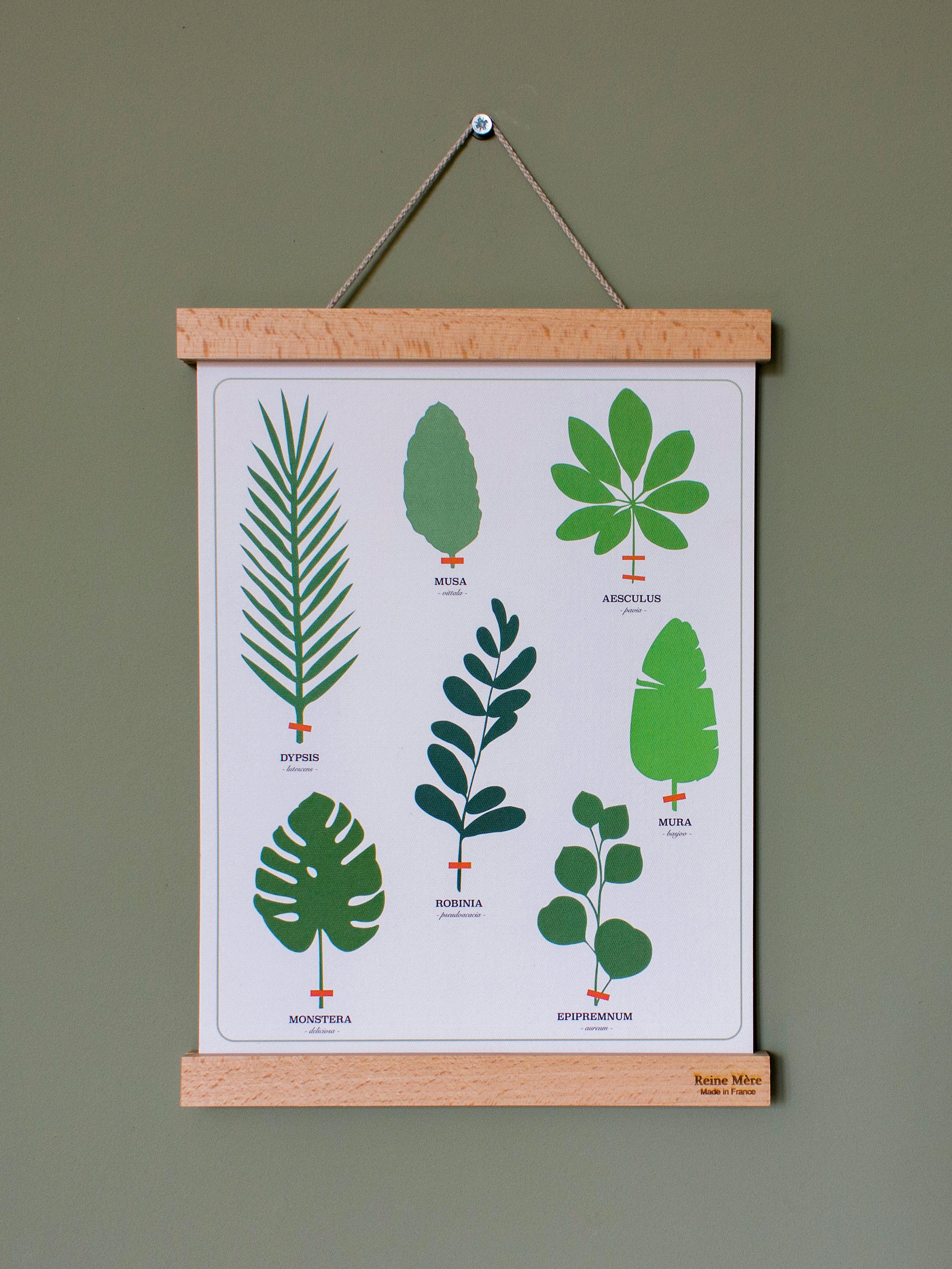 Porte Affiche - Tasseaux