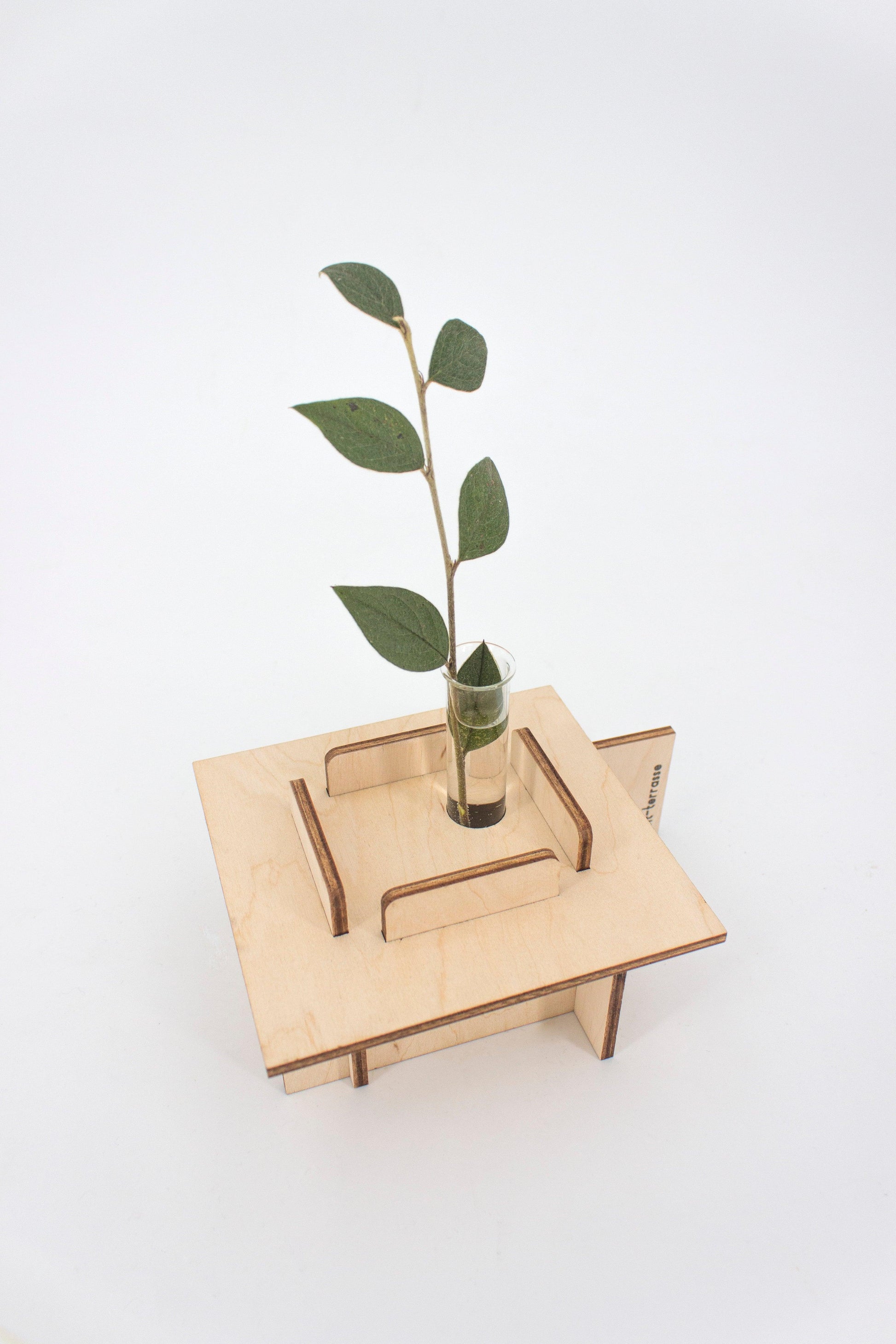 Vases - Architecture - Reine Mère