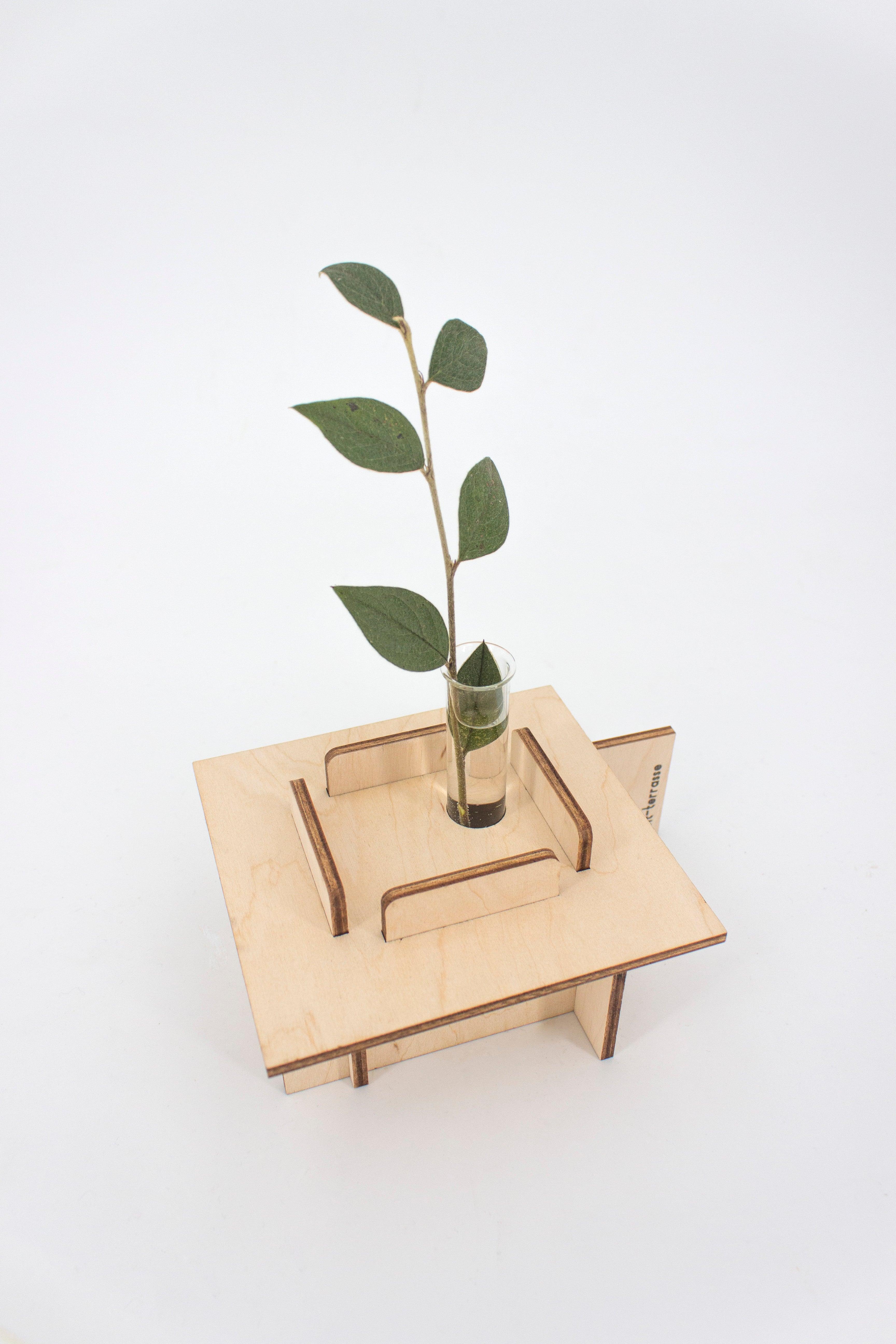 Vases - Architecture - Reine Mère