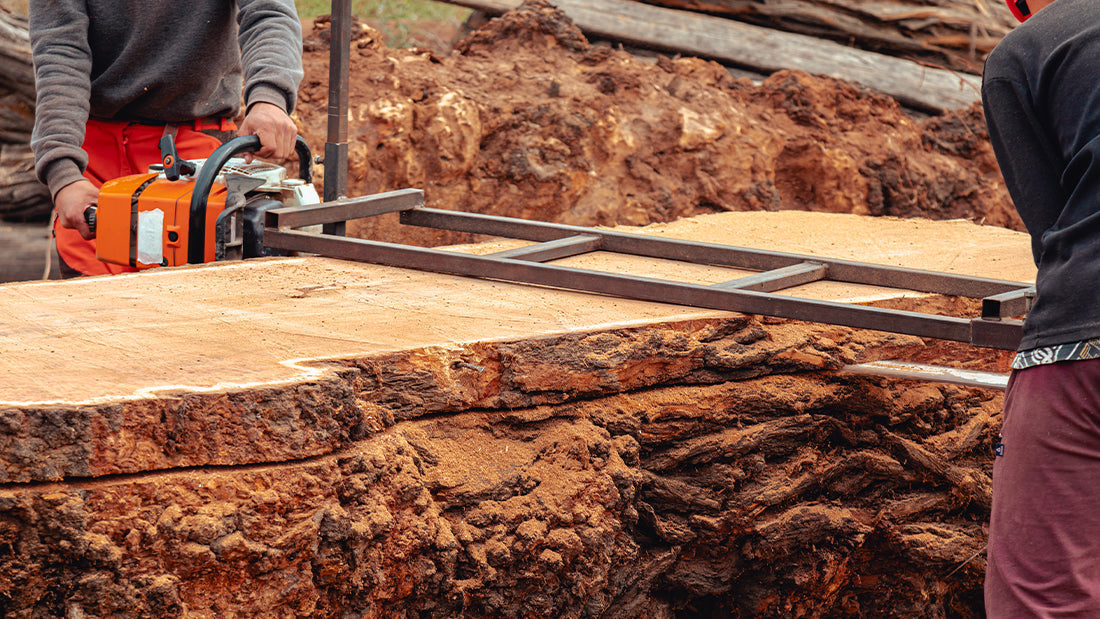 Bois vs Plastique : Le Vrai Impact Environnemental